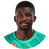 لاعب: ن. هوساوي