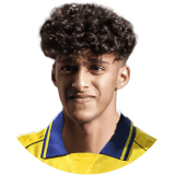 لاعب: الحربي