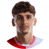 لاعب: شيتيل