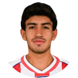 لاعب: Palavecino