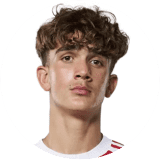 لاعب: دومان