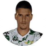 لاعب: بيتكوفيتش