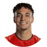 لاعب: رودريجو