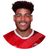 لاعب: هيرنانديز