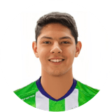 كاستيلانوس