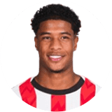 لاعب: فلامينغو