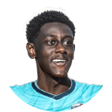 لاعب: هوساوي