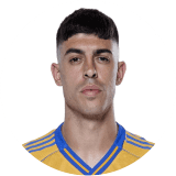 لاعب: برونيتا