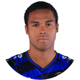 فان دير كاب