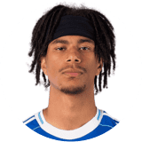 لاعب: أويدل