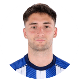 غوروتشاتيغي