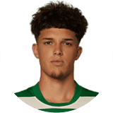 لاعب: جونسالفيس