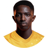 لاعب: الصقور