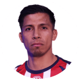 لاعب: سيبولفيدا