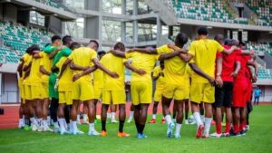 صورة المقالة