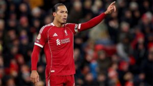 صورة المقالة