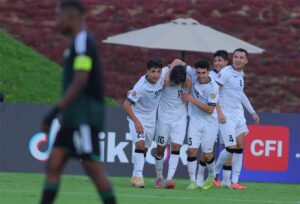 صورة المقالة