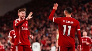 صورة المقالة