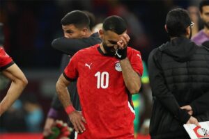 صورة المقالة