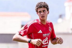 صورة المقالة