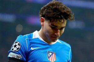 صورة المقالة