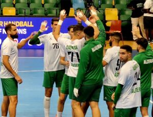 صورة المقالة