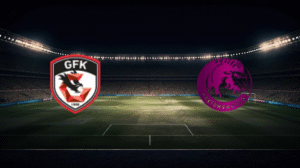 صورة المقالة