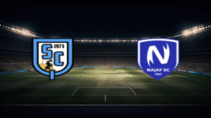 صورة المقالة