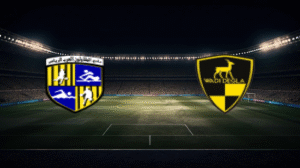 صورة المقالة