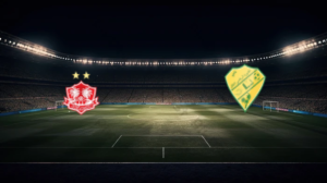 صورة المقالة