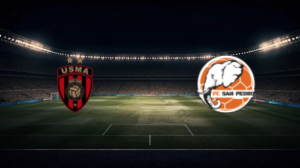 صورة المقالة