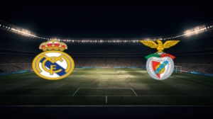 صورة المقالة