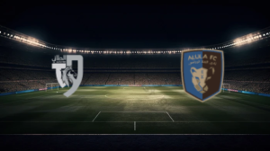 صورة المقالة