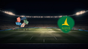 صورة المقالة