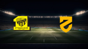 صورة المقالة