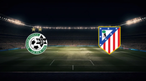 صورة المقالة