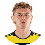 لاعب: شافلبيرج