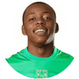 لاعب: مزيزي