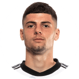 لاعب: بيتكوفيتش