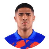 لاعب: بيرجسون