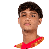 لاعب: روخاس