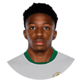 لاعب: سانغاري