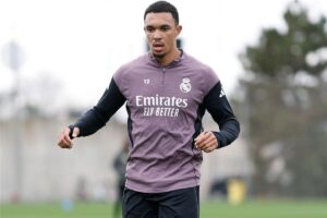 صورة المقالة