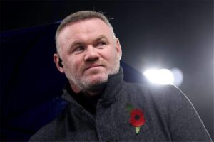 صورة المقالة