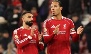 صورة المقالة