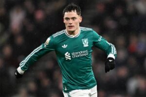 صورة المقالة