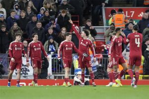 صورة المقالة