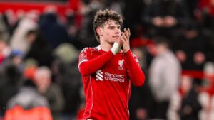 صورة المقالة