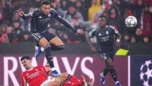 صورة المقالة