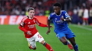 صورة المقالة